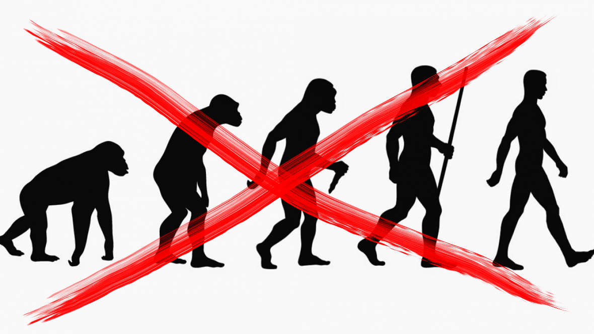Evolución errónea
