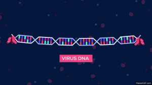 CRISPR por Dauri