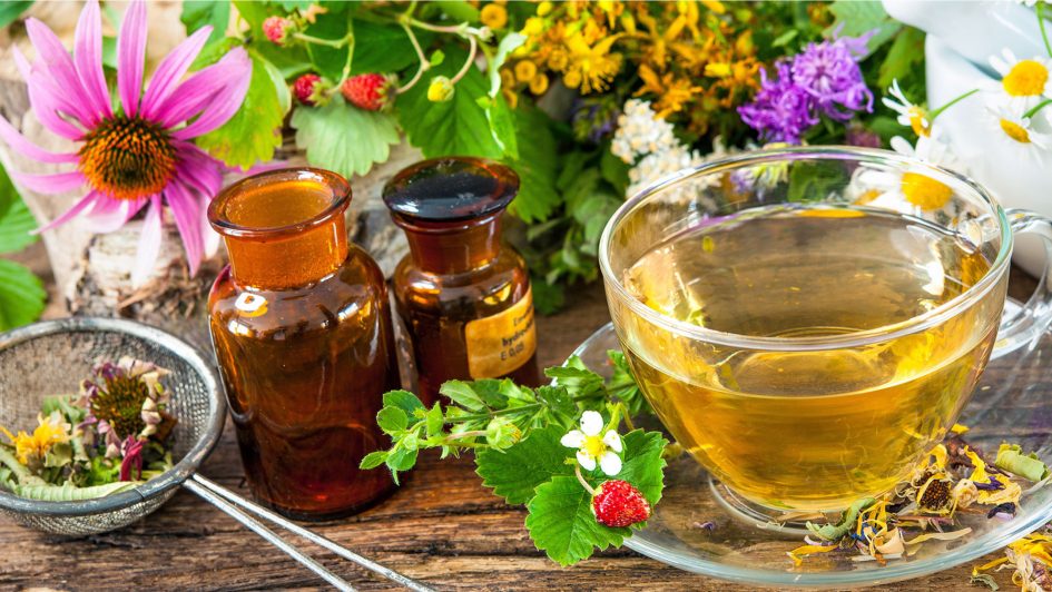 Plantas medicinales