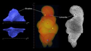 El origen de la Venus de Willendorf a través de tomografía 