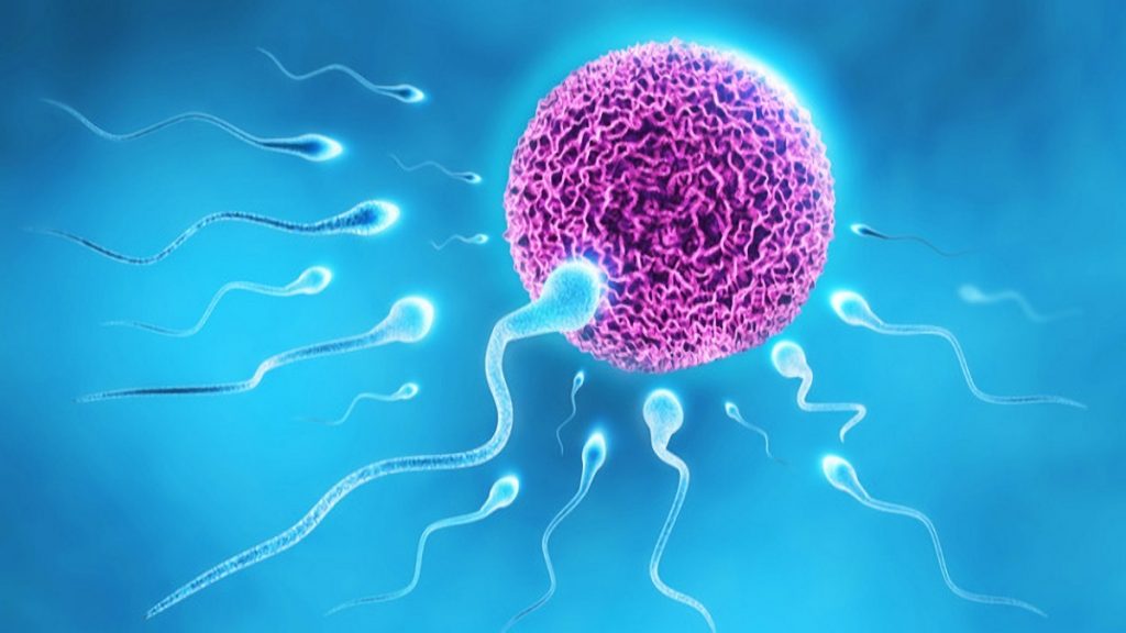 Píldora anticonceptiva masculina como una nueva forma de control de natalidad