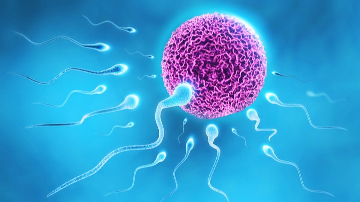Píldora anticonceptiva masculina como una nueva forma de control de natalidad