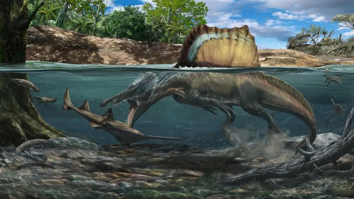 Imagen recreación del dinosaurio carnívoro más grande, especialista acuático