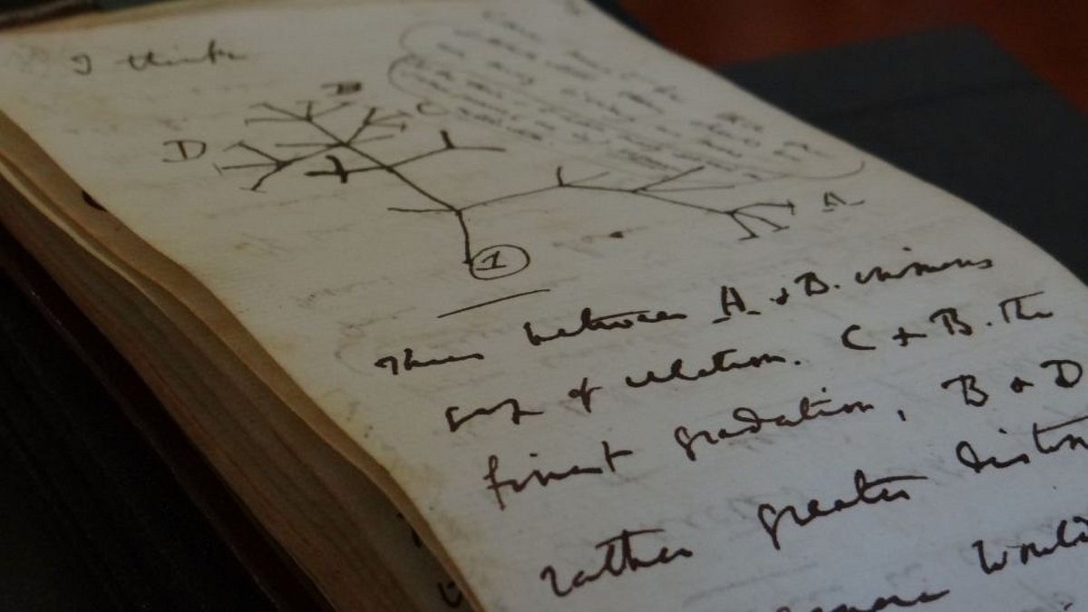 Cuadernos perdidos del "árbol de la vida" de Charles Darwin,