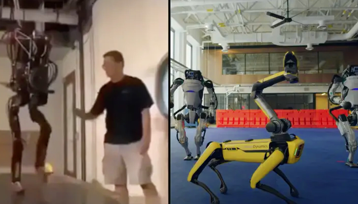 robots