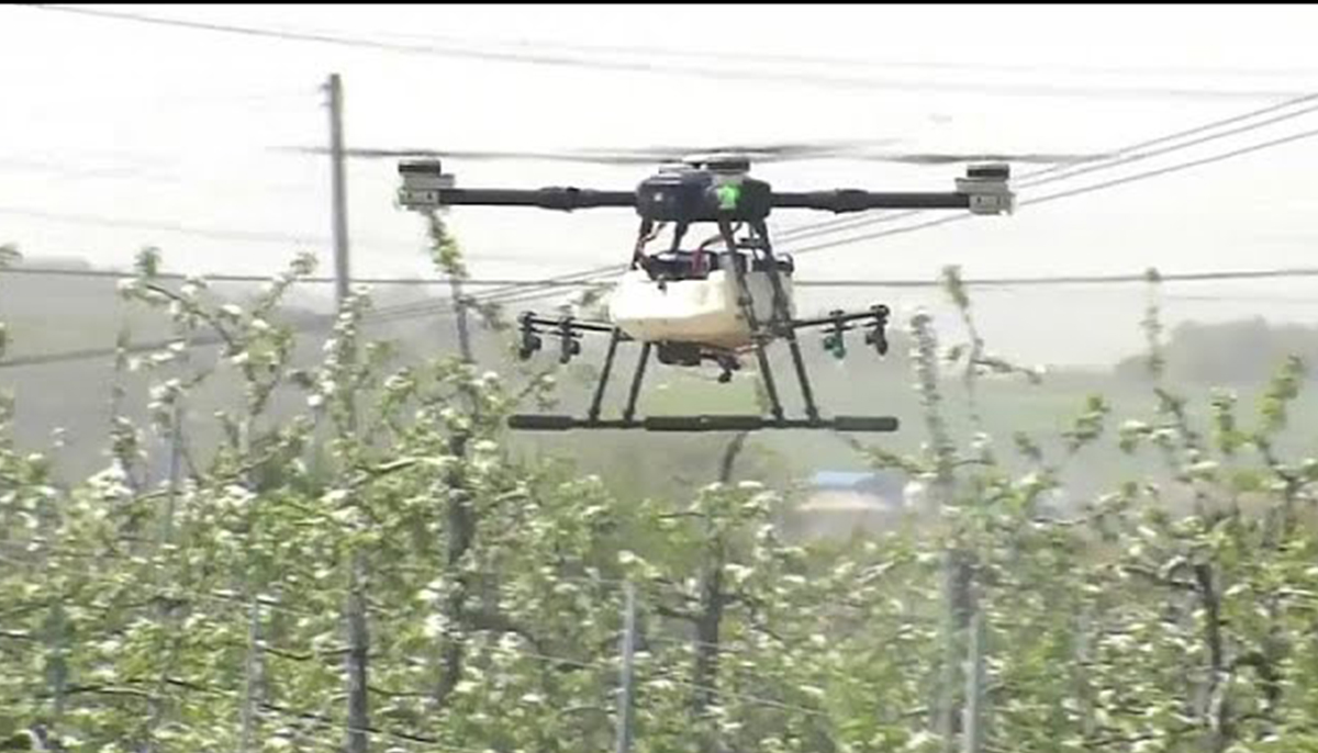 drones