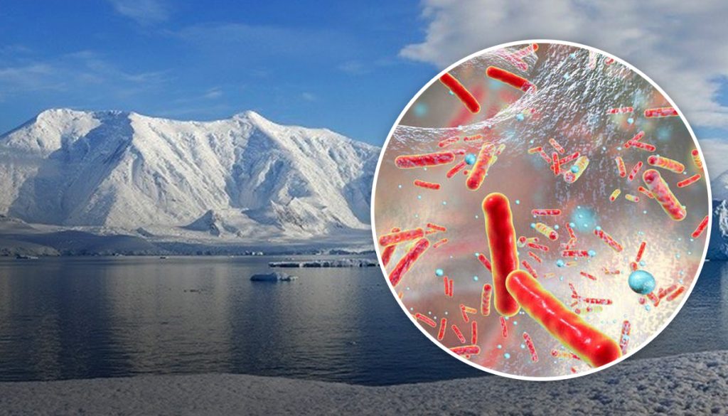 superbacterias
