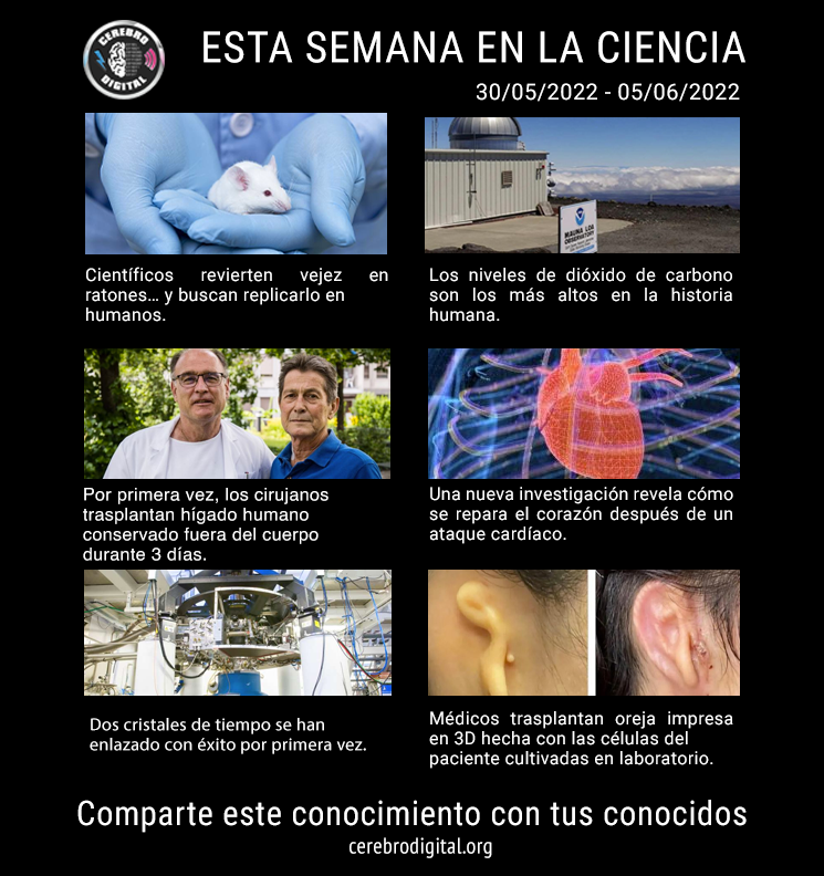 Estos son algunos de los sucesos más relevantes en la ciencia en la semana del 30 de mayo al 5 de junio del 2022