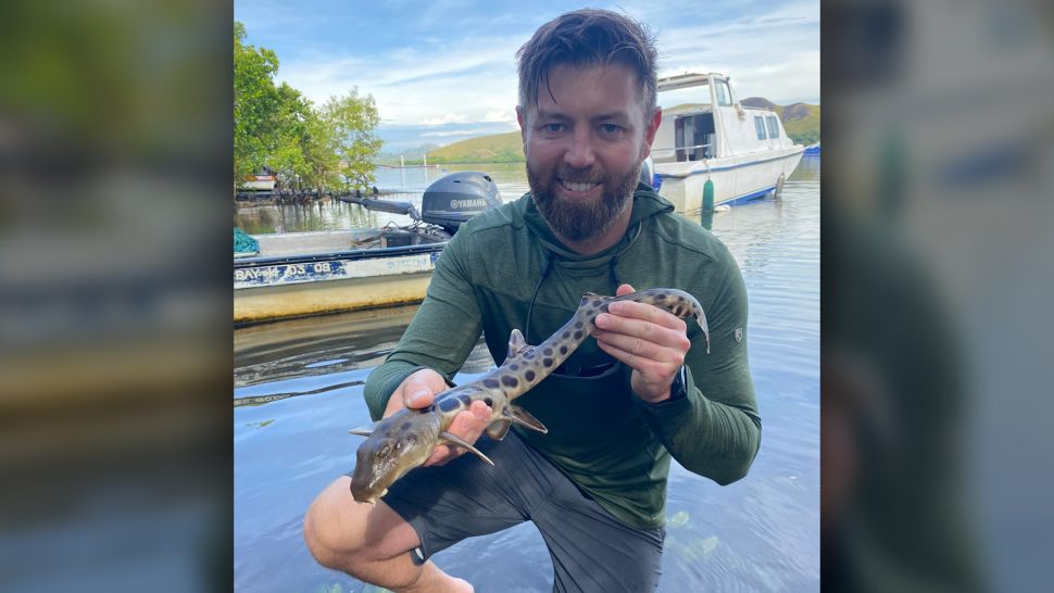 El conservacionista y biólogo Forrest Galante viajó a los arrecifes de coral de las Islas Salomón y Papúa Nueva Guinea para investigar los rumores y mostrar los tiburones caminando.