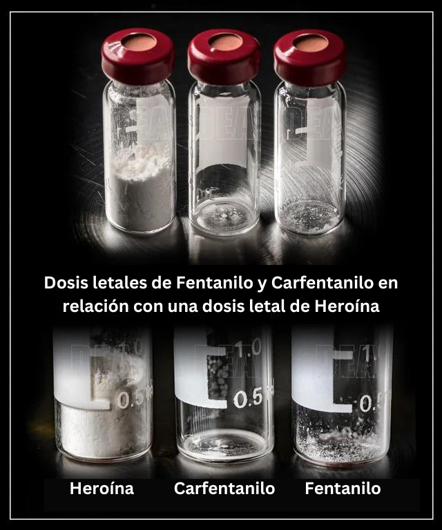 Dosis letales de Fentanilo y Carfentanilo en relación con una dosis letal de Heroína