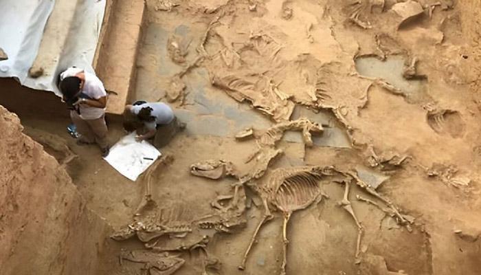 ¿Restos de la Atlántida? El hallazgo de reliquias de más de 2.500 arroja luz sobre el misterio