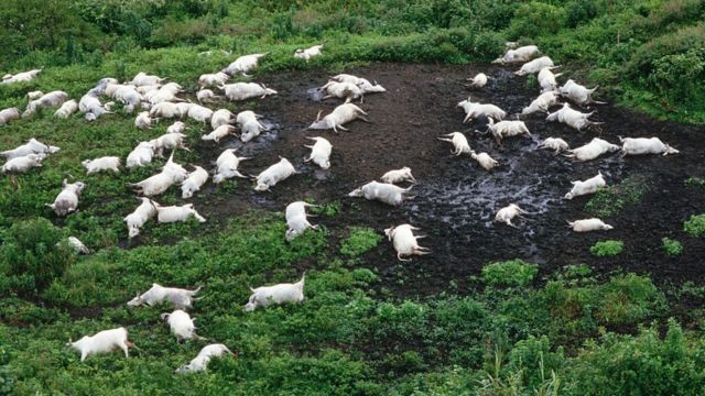 La tragedia del lago Nyos: ¿Qué acabó con la vida de 1.800 personas en una noche?