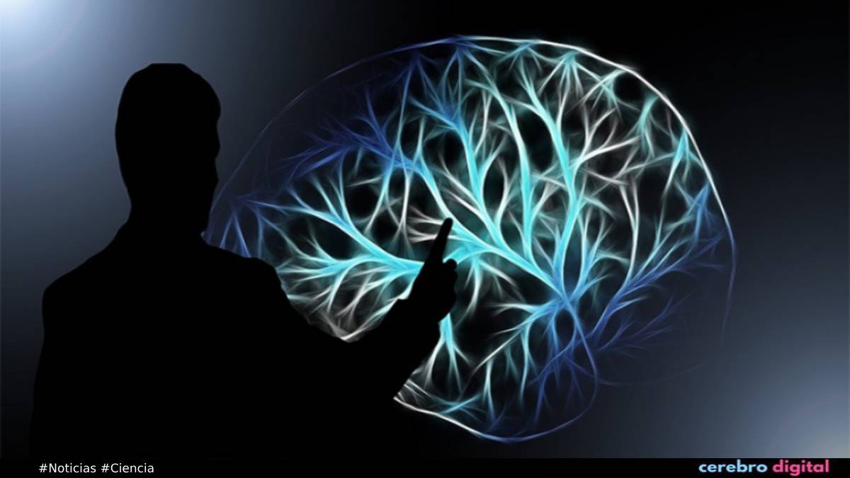 Inmortalidad: el nuevo objetivo de Sam Altman, el CEO de OpenAI