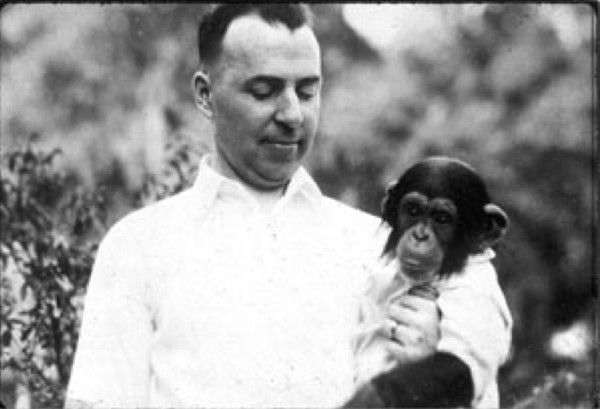 La historia de Gua: la chimpancé criada como un bebé humano