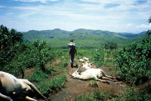 The Tragedy of Lake Nyos: What Ended the Lives of 1,800 People in One Night?
