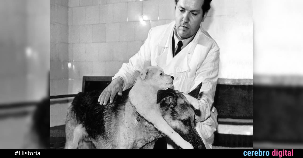 Vladimir Demikhov: el doctor que creó un “perro de dos cabezas”