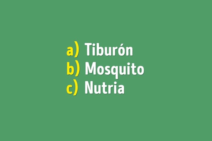 ¡Reto! ¿Cuánto sabes sobre el mundo animal? ¡Pruébalo con estas 6 preguntas!