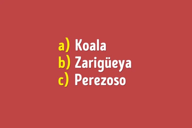 ¡Reto! ¿Cuánto sabes sobre el mundo animal? ¡Pruébalo con estas 6 preguntas!