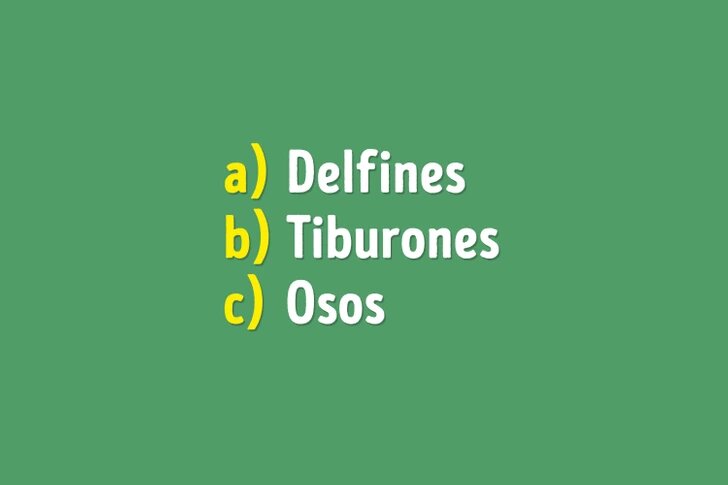 ¡Reto! ¿Cuánto sabes sobre el mundo animal? ¡Pruébalo con estas 6 preguntas!