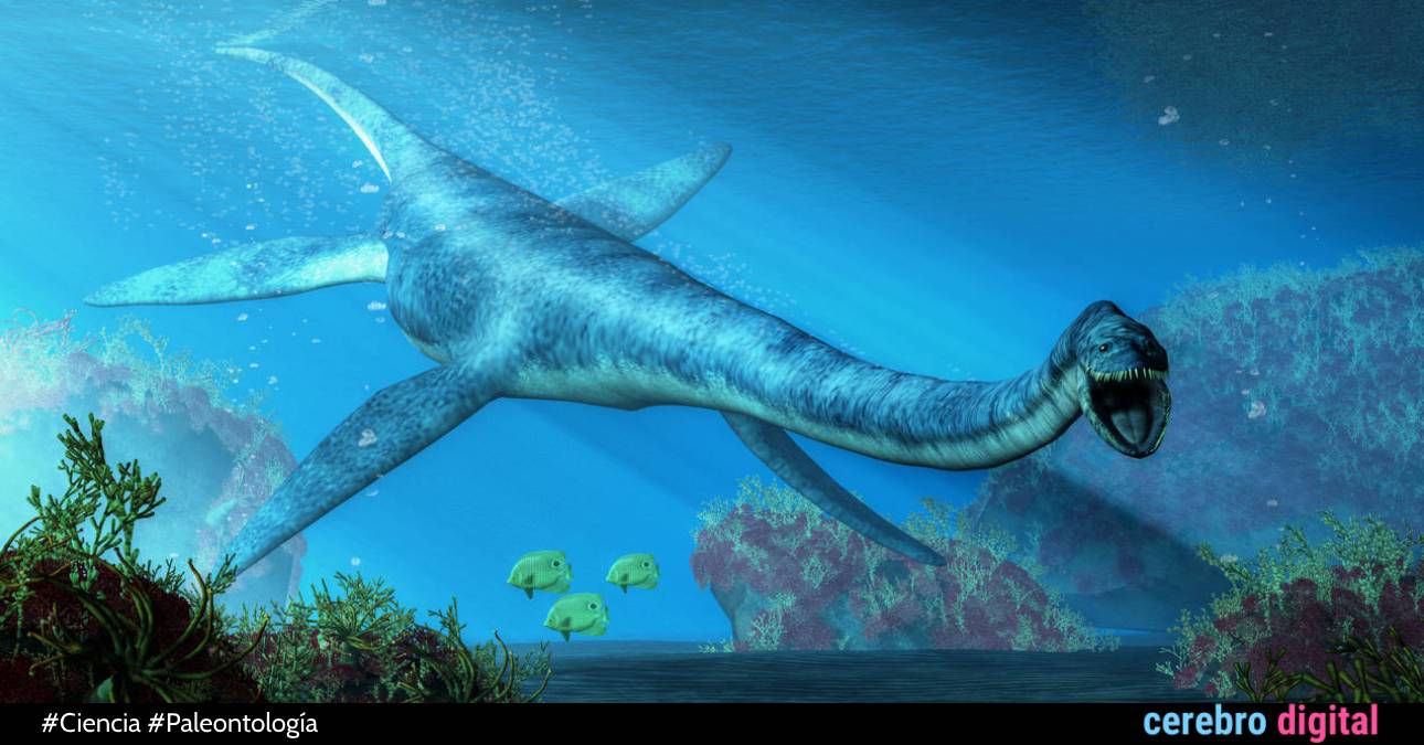 El megadepredador más antiguo conocido: el pliosaurio