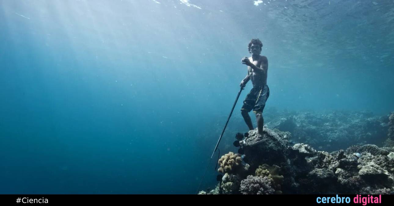 Los Bajau: humanos genéticamente adaptados para vivir en el mar