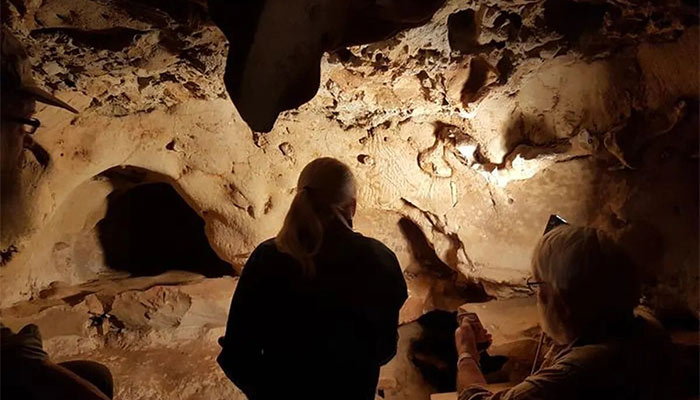 Neanderthals, Not Homo sapiens, Created the World's Oldest Cave Engravings