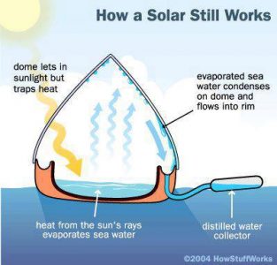 SolarBall: el invento de un estudiante que purifica el agua sucia sin electricidad