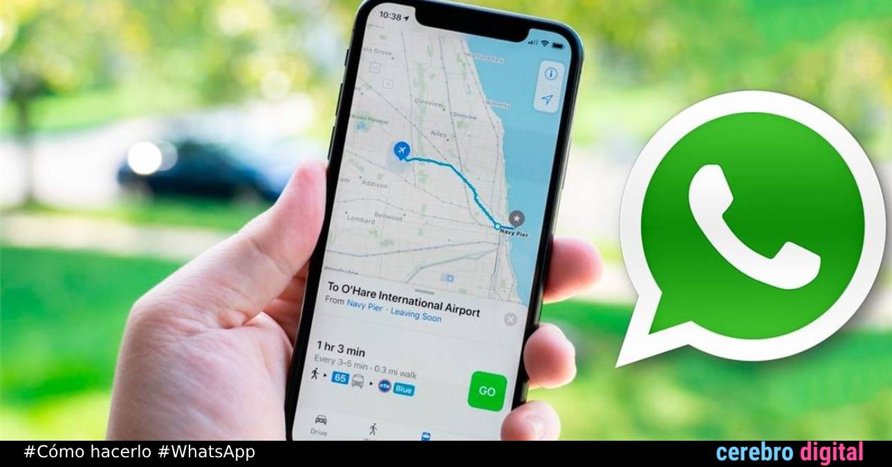 Cómo saber la ubicación de un contacto de WhatsApp sin que se entere