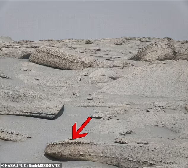 El hallazgo de la roca con forma de hueso en Marte: ¿un indicio de vida pasada?