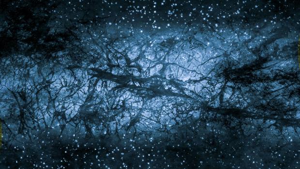 Primeras imágenes del Euclid: el borde deslumbrante de la oscuridad