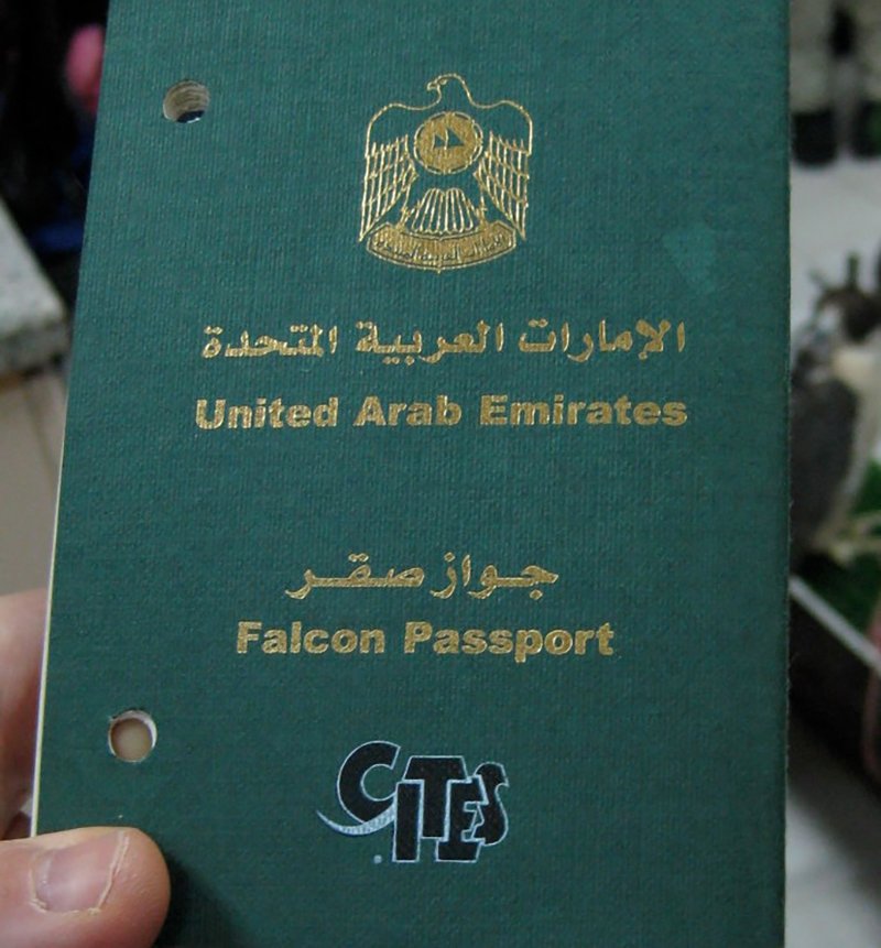 Príncipe Saudí compró boletos individuales para sus 80 halcones