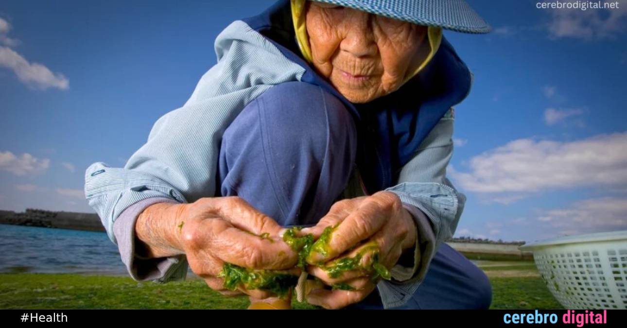 7 Habits for a Healthier Life: Lessons from the World's Longest-Living Communities