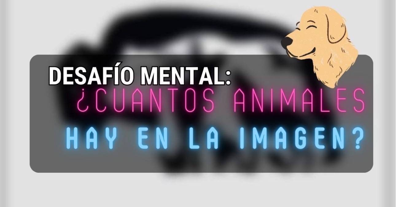 Desafío visual: ¿Cuántos animales hay en la imagen?