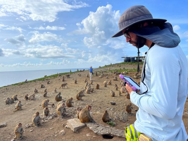 La isla-laboratorio donde se estudia a los monos para entender el comportamiento humano