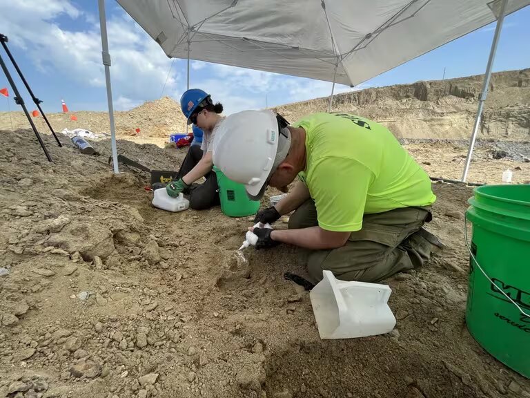 Encuentran bajo tierra un colmillo de mamut en Dakota del Norte