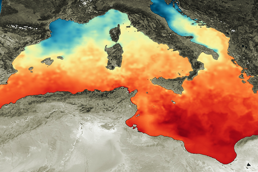 El Mediterráneo está en una situación crítica: sobreexplotación, contaminación y meses continuos de temperaturas altísimas