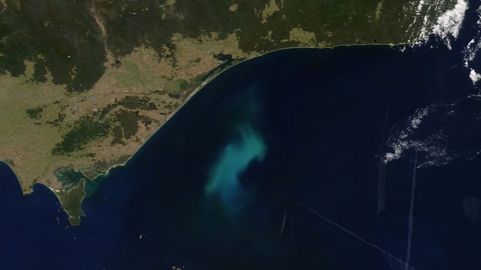 Satélite PACE será enviado más allá de la EEI para monitorear la salud de la Tierra y podrás ver su despegue en vivo