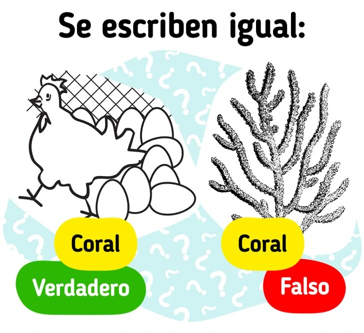 RETO: Desafía tu ortografía con estos 8 retos ortográficos