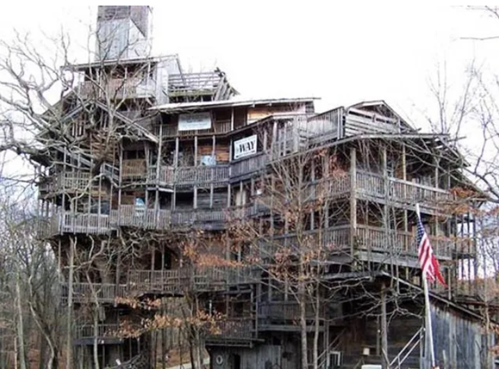 casa en el árbol más grande del mundo tenía 8 pisos y 80 habitaciones