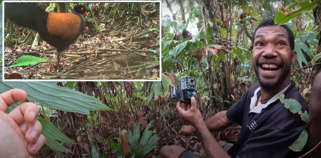 La reacción de dos científicos al redescubrir una especie que se creía extinta desde hace 140 años