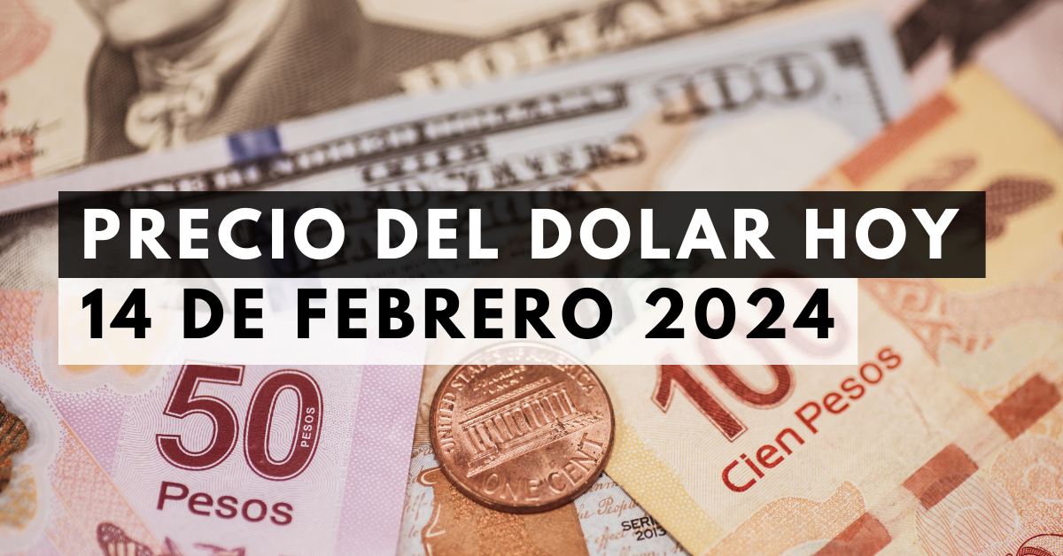 Precio del dólar: Tipo de cambio hoy 14 de febrero de 2024