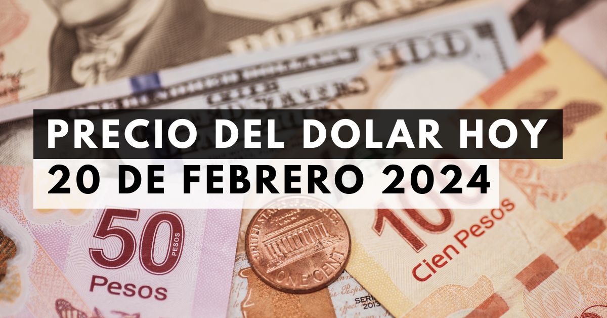 Precio del dólar: Tipo de cambio hoy 20 de febrero de 2024