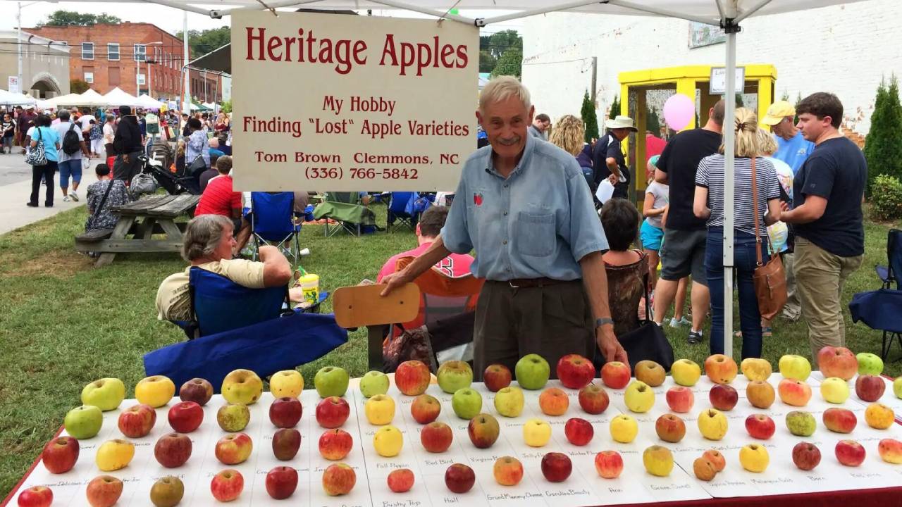 A retired chemical engineer saved over 1,200 lost apples varieties from extinction