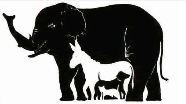¿Cuántos animales ves en la imagen? Reto visual