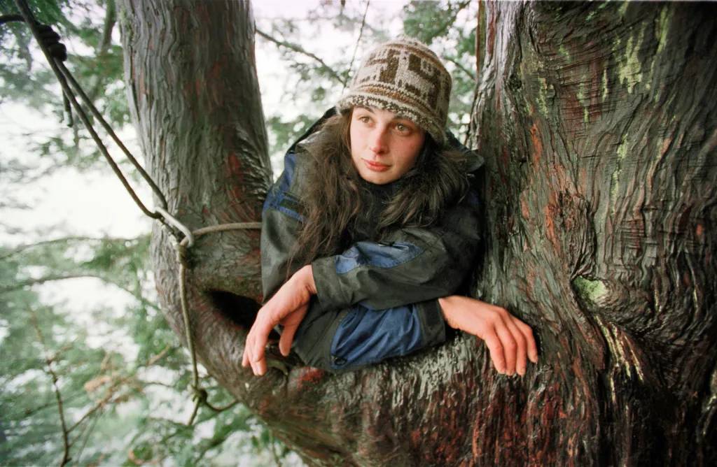 Julia Hill: La mujer que vivió 2 años sobre un árbol de 55 metros de alto para salvar un bosque de más de mil años
