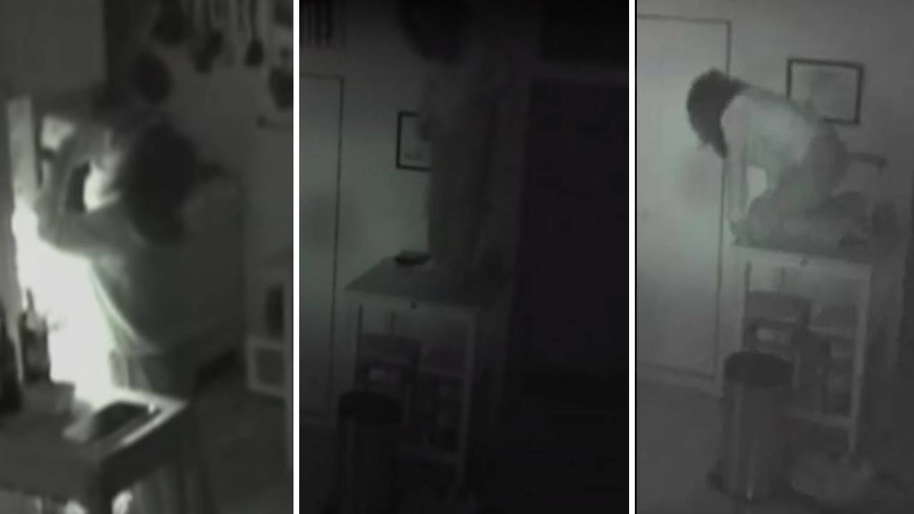 Un hombre descubrió a una mujer vivía en su casa desde casi un año