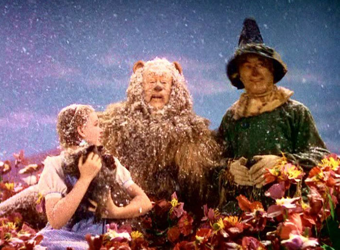 La nieve tóxica en el Mago de Oz que casi envenena a su protagonista