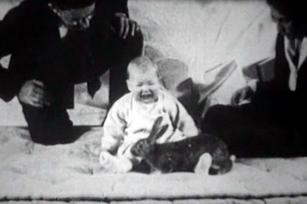 Pequeño Albert: el infame experimento para inducir terror