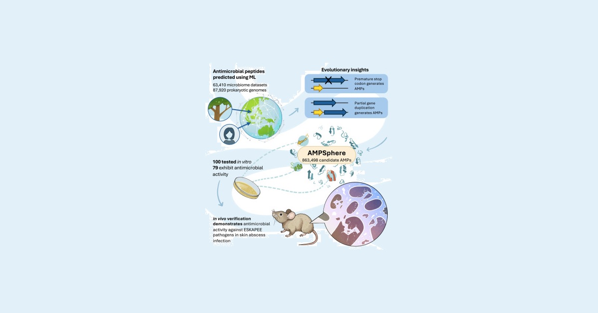 metodo de estudio para nuevos antibioticos