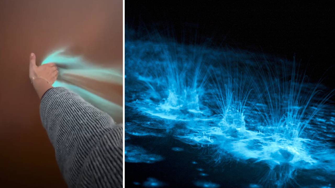 Espectacular fenómeno bioluminiscente en Lillesand, Noruega